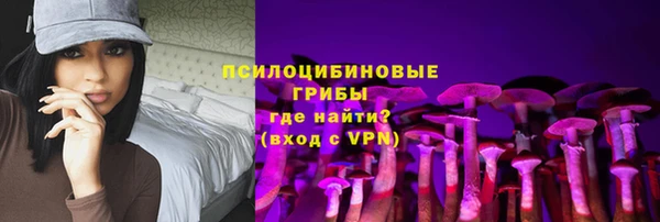 spice Белокуриха