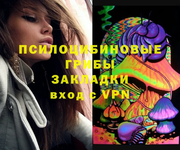 spice Белокуриха