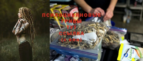 spice Белокуриха