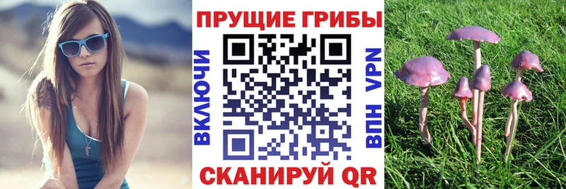 гидра как войти  Меленки  Галлюциногенные грибы Magic Shrooms  площадка официальный сайт  цены  
